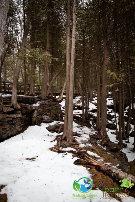 3549128234 Crawford Lake Conservation Area - In Pictures, 2015