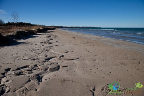 3920769278 Ipperwash Beach - In Pictures, 2017