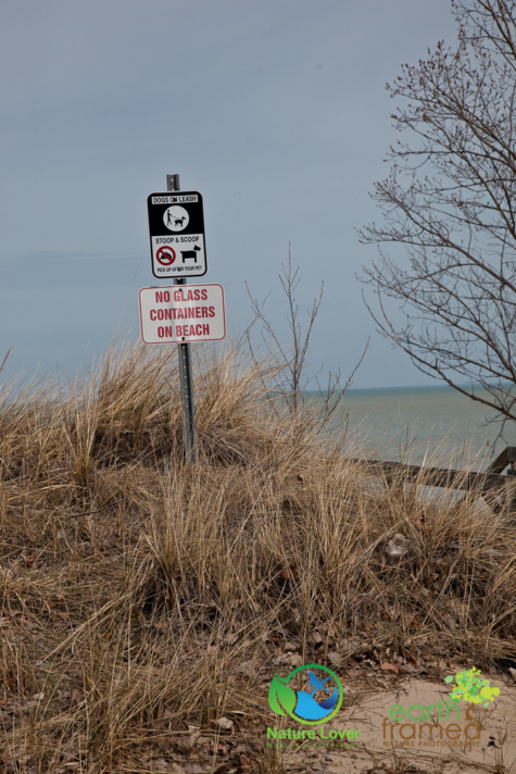 3882846802 Ipperwash Beach - In Pictures, 2017