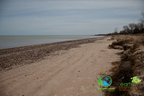 832799778 Ipperwash Beach - In Pictures, 2017
