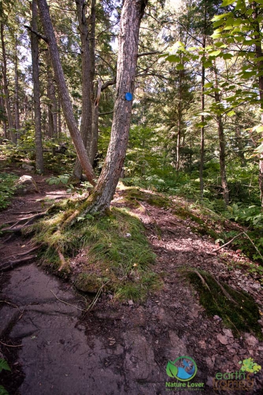 2185592955 Discover the Rocks of Algonquin's Booth's Rock Trail, 2009