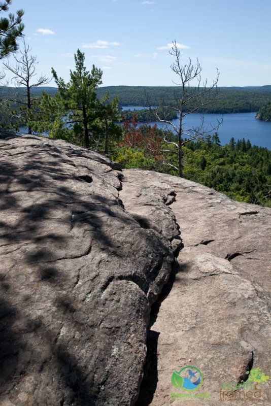 2005206060 Discover the Rocks of Algonquin's Booth's Rock Trail, 2009
