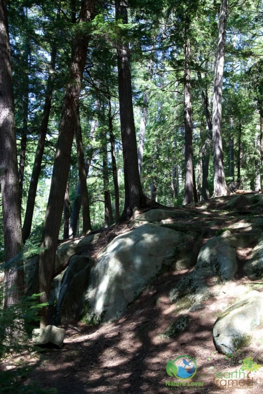 1694039336 Discover the Rocks of Algonquin's Booth's Rock Trail, 2009