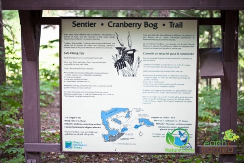 2706737853 Killarney's Stunning Cranberry Bog Trail