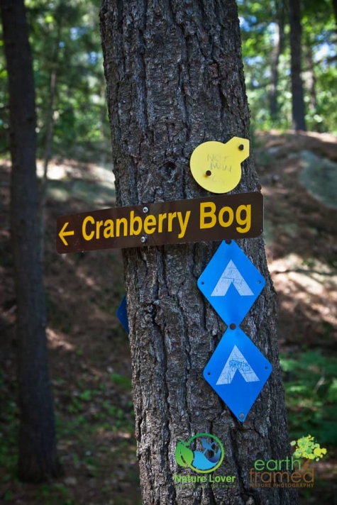 2897658113 Killarney's Stunning Cranberry Bog Trail