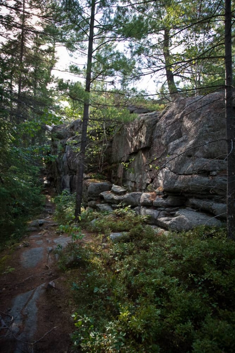 2419114472 Enjoying Gut Lake Trail At Grundy Lake Provincial Park