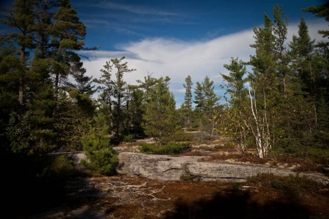 3316204631 Enjoying Gut Lake Trail At Grundy Lake Provincial Park