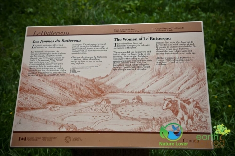 4273911376 Historical Acadian Trail At Cape Breton Highlands National Park