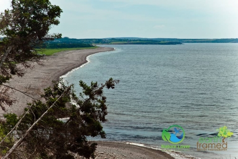 17136541 Historical Acadian Trail At Cape Breton Highlands National Park