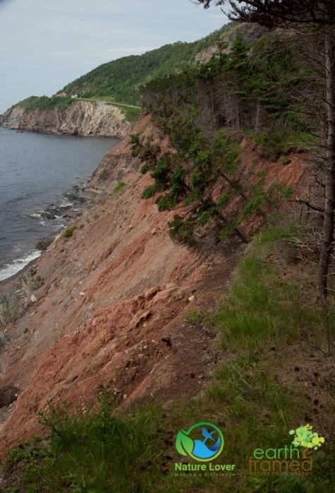 2695291118 Historical Acadian Trail At Cape Breton Highlands National Park
