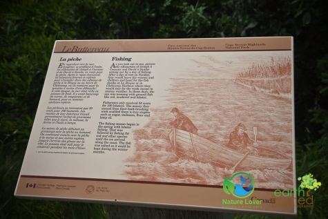913142089 Historical Acadian Trail At Cape Breton Highlands National Park