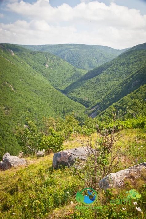 1606879078 Scenic Vistas Along The Cabot Trail