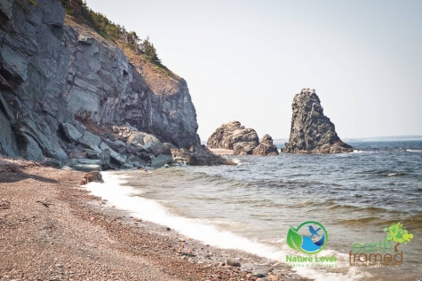 2014537212 Pillar Rock Beach At Cape Breton Highlands National Park