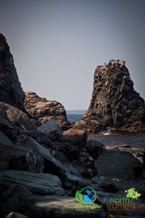 1735324155 Pillar Rock Beach At Cape Breton Highlands National Park