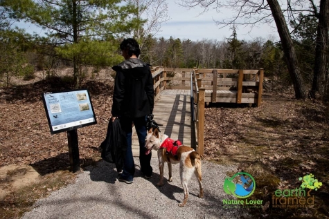 2677213079 Spring Hike At The Ausable Cut Conservation Area With Kirra The Cattle Dog