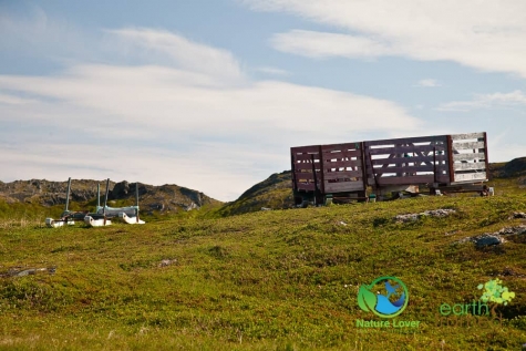 3688808561 Pulmy Cove Trail Near Goose Cove, Newfoundland