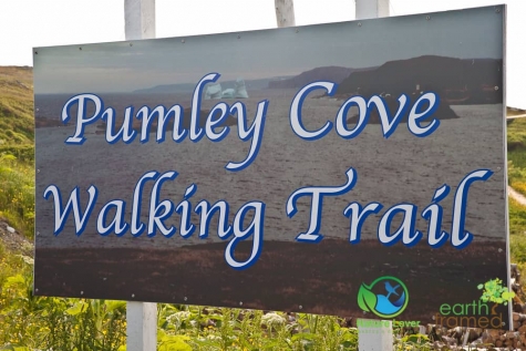 3029214443 Pulmy Cove Trail Near Goose Cove, Newfoundland