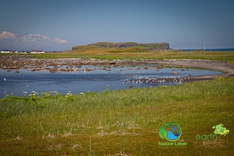 2396526678 Hiking At Newfoundland's L'Anse aux Meadows Viking Settlement