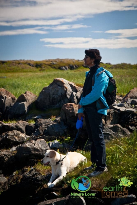 922453916 Hiking At Newfoundland's L'Anse aux Meadows Viking Settlement