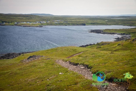 1120153849 Hiking Trail Near Norstead - Minke Whales Spotted