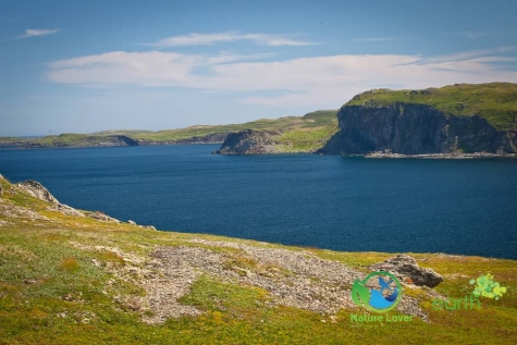 3063680266 Hiking Trail Near Norstead - Minke Whales Spotted
