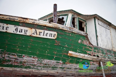 1906450399 Old Boats Along Newfoundland's Viking Trail