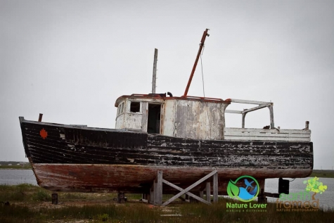 233779911 Old Boats Along Newfoundland's Viking Trail