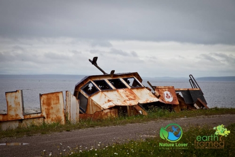 2168242120 Old Boats Along Newfoundland's Viking Trail
