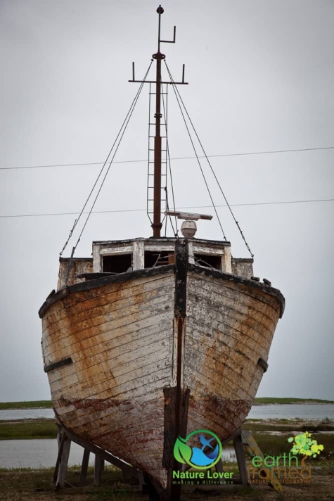 887072643 Old Boats Along Newfoundland's Viking Trail