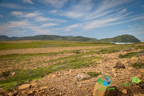 3467125125 The Gorgeous,  But Long Green Gardens Trail in Gros Morne National Park
