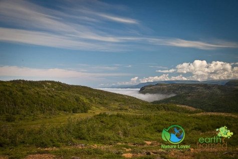 3744434722 The Gorgeous,  But Long Green Gardens Trail in Gros Morne National Park