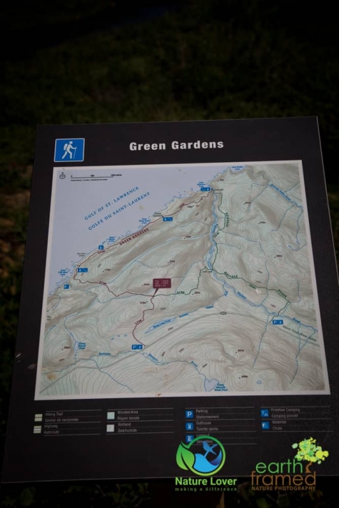 3599394348 The Gorgeous,  But Long Green Gardens Trail in Gros Morne National Park