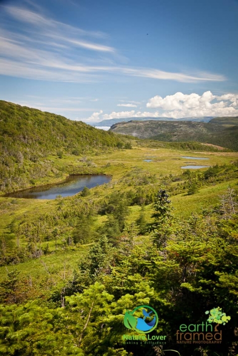16588818 The Gorgeous,  But Long Green Gardens Trail in Gros Morne National Park