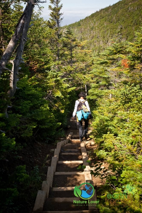 983942696 The Gorgeous,  But Long Green Gardens Trail in Gros Morne National Park