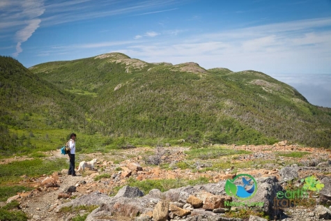4110698048 The Gorgeous,  But Long Green Gardens Trail in Gros Morne National Park