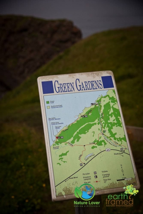 1531902528 The Gorgeous,  But Long Green Gardens Trail in Gros Morne National Park
