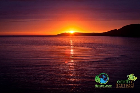 605994761 Sunset At Lobster Cove Head, Rocky Harbour, Newfoundland