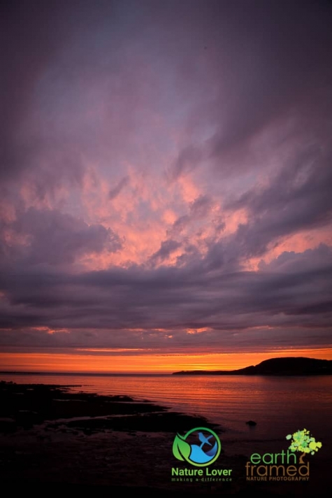 2965491815 Sunset At Lobster Cove Head, Rocky Harbour, Newfoundland