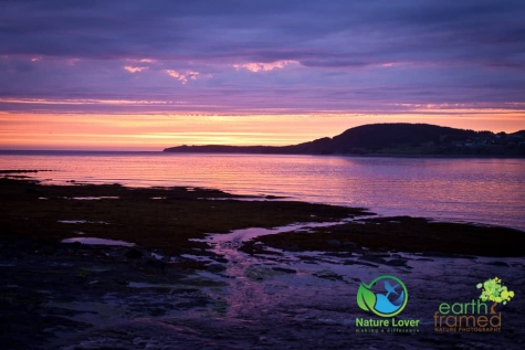 2082829223 Sunset At Lobster Cove Head, Rocky Harbour, Newfoundland