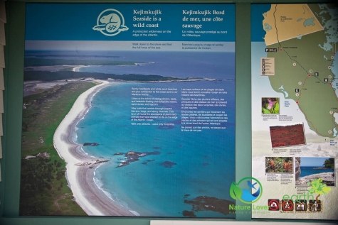 2467279432 Rugged Coast At Kejimkujik National Park Seaside, Nova Scotia