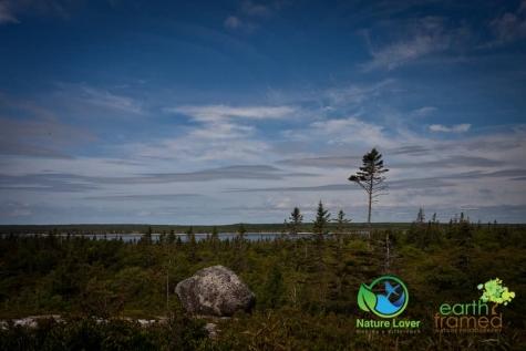 384249190 Rugged Coast At Kejimkujik National Park Seaside, Nova Scotia