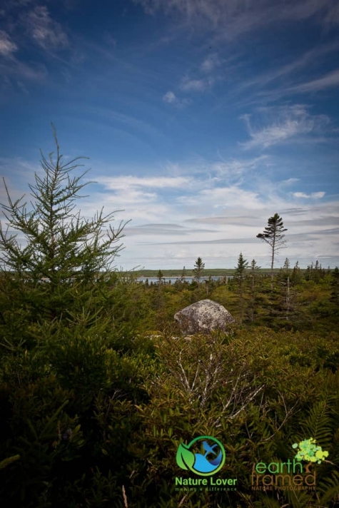 3932552499 Rugged Coast At Kejimkujik National Park Seaside, Nova Scotia