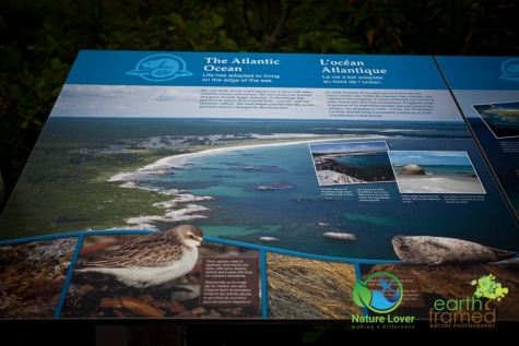 1684498996 Rugged Coast At Kejimkujik National Park Seaside, Nova Scotia