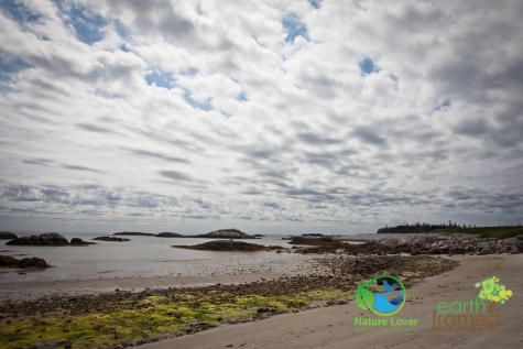 208249131 Rugged Coast At Kejimkujik National Park Seaside, Nova Scotia
