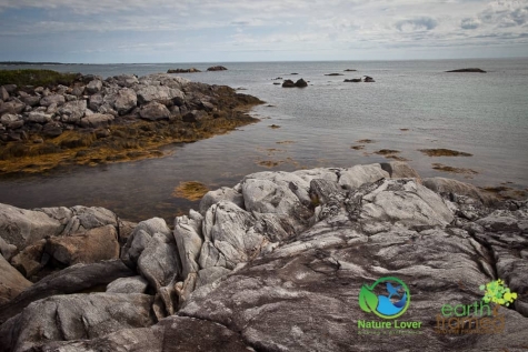 1278601733 Rugged Coast At Kejimkujik National Park Seaside, Nova Scotia