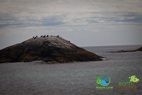 4119945281 Rugged Coast At Kejimkujik National Park Seaside, Nova Scotia