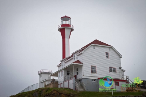 1173359364 Cape Forchu Lightstation On Nova Scotia’s Shores