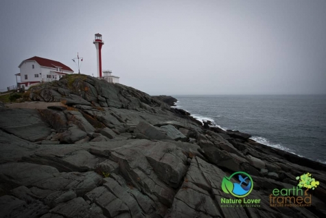 4236576187 Cape Forchu Lightstation On Nova Scotia’s Shores