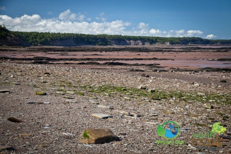 1064029277 Joggins Fossil Cliffs In Nova Scotia
