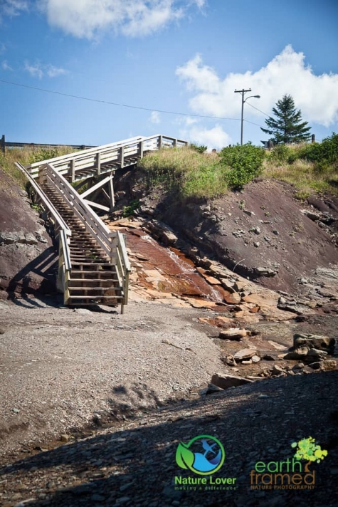 2292481392 Joggins Fossil Cliffs In Nova Scotia